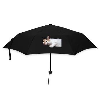 le chat au doux regard - Parapluie standard - noir - Devant