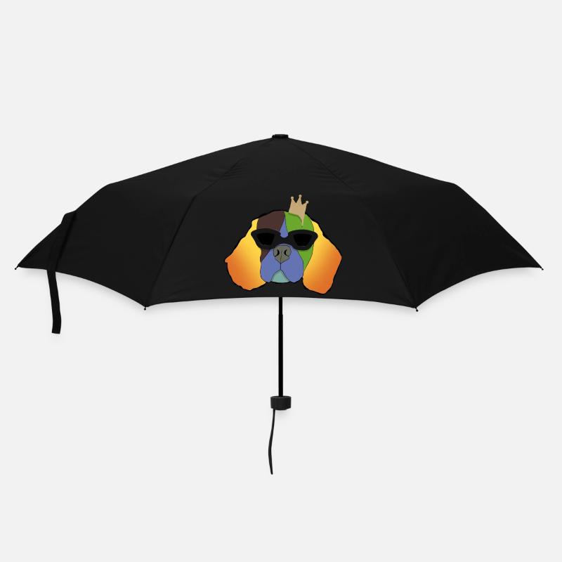 King Einstein - Regenschirm (klein) - Schwarz