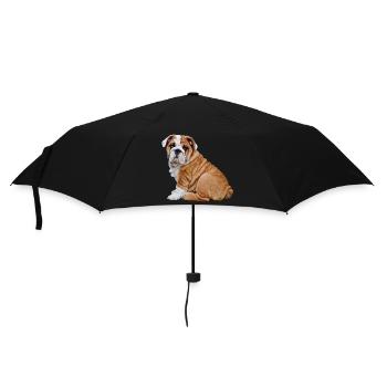 Bulldog - Regenschirm (klein) - Schwarz - Vorne