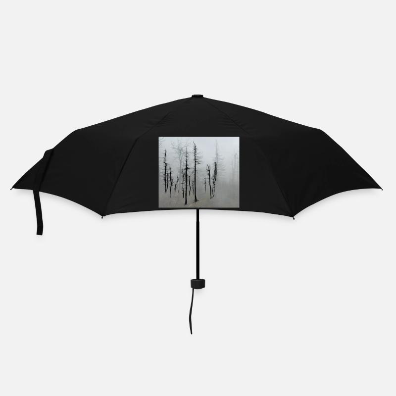 Totholzfichten_im_Nebel - Regenschirm (klein) - Schwarz