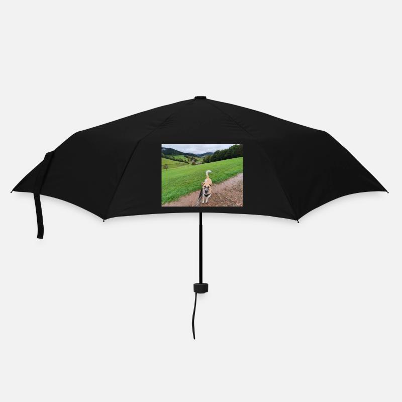 Une nature à couper le souffle avec un chien - Parapluie standard - noir