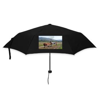Chevaux - Parapluie standard - noir - Devant