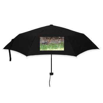 Oiseau - Parapluie standard - noir - Devant