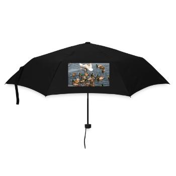 Canard en famille - Parapluie standard - noir - Devant