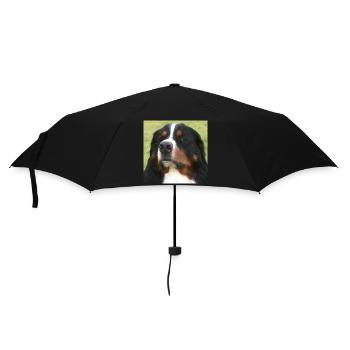 Bernese Mountain Dog - Umbrella (small) - black - Front