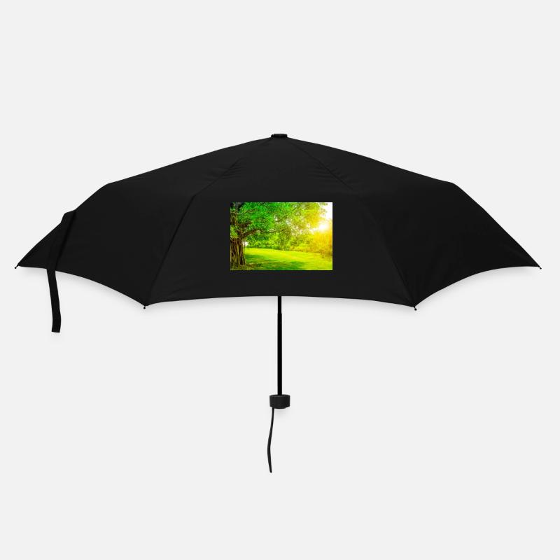 1418 - Parapluie standard - noir