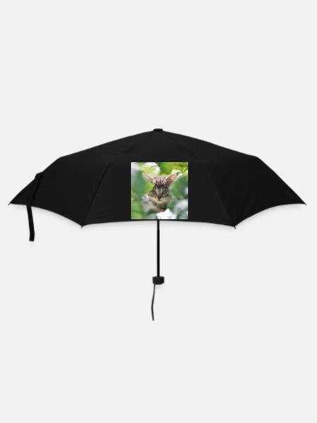 Shy but curious kitten - Umbrella (small) - black
