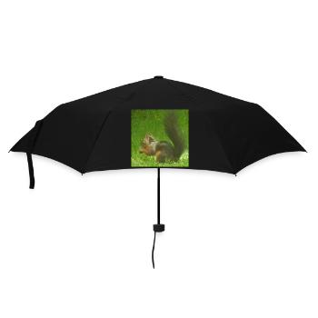 Eichhörnchen Tier Tierliebe Tierfreund Liebe - Regenschirm (klein) - Schwarz - Vorne