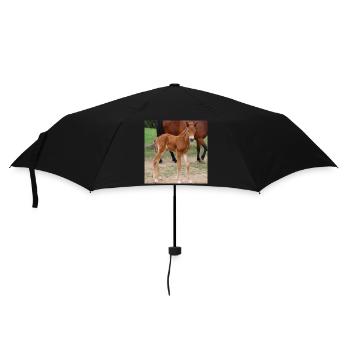 Pferd Pferdeposter - Regenschirm (klein) - Schwarz - Vorne