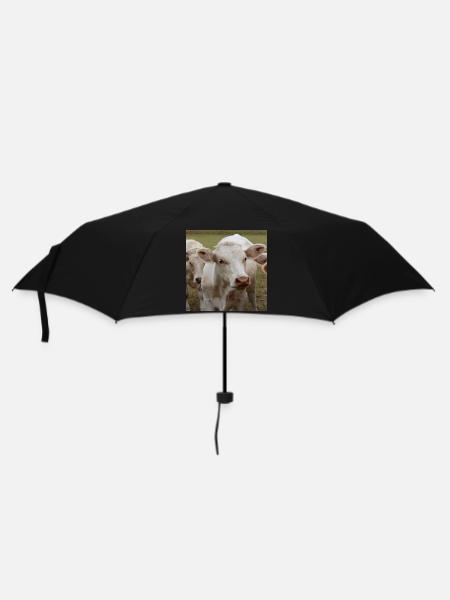 Affiche vache - Parapluie standard - noir