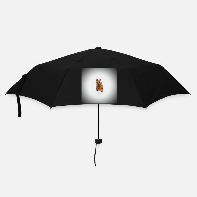 Brown Dachshund - Umbrella (small) - black