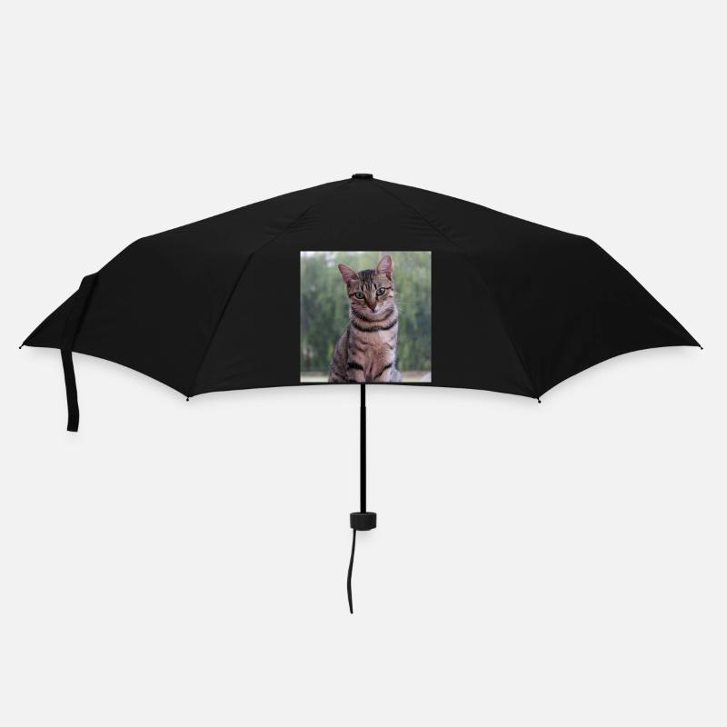 Katze Kätzchen Poster quadratisch Katzenposter - Regenschirm (klein) - Schwarz