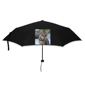 Katze Kätzchen Poster quadratisch Katzenposter - Regenschirm (klein) - Schwarz - Vorne