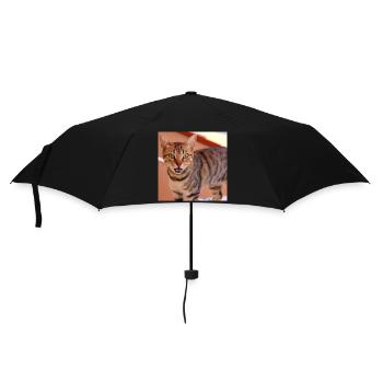 Katze Kätzchen Poster quadratisch Katzenposter - Regenschirm (klein) - Schwarz - Vorne