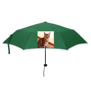 Katze Kätzchen Poster quadratisch Katzenposter - Regenschirm (klein) - Flaschengrün - Vorne