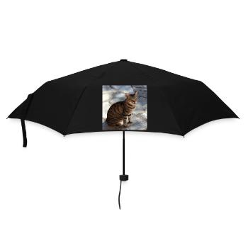 Katze Kätzchen Poster quadratisch Katzenposter - Regenschirm (klein) - Schwarz - Vorne