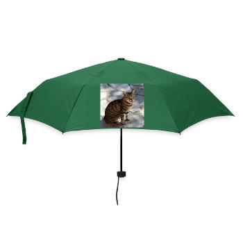 Katze Kätzchen Poster quadratisch Katzenposter - Regenschirm (klein) - Flaschengrün - Vorne