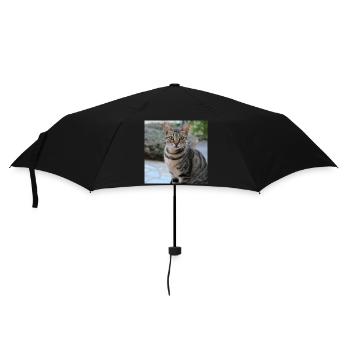 Katze Kätzchen Poster quadratisch Katzenposter - Regenschirm (klein) - Schwarz - Vorne