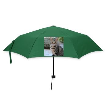Katze Kätzchen Poster quadratisch Katzenposter - Regenschirm (klein) - Flaschengrün - Vorne