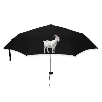 Portrait de chèvre de montagne blanche - Parapluie standard - noir - Devant
