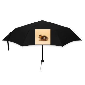 Goldenes Küken auf cremefarbenem Hintergrund - Regenschirm (klein) - Schwarz - Vorne