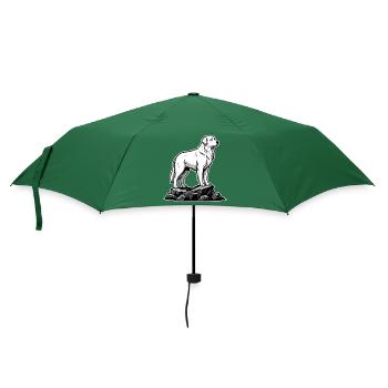 Hund Pyrenäische Bergpatou auf Felsen - Regenschirm (klein) - Flaschengrün - Vorne
