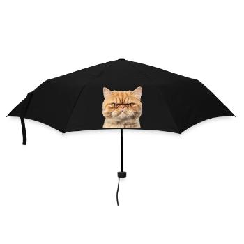 Portrait du Chat Roux Gringy Studio - Parapluie standard - noir - Devant