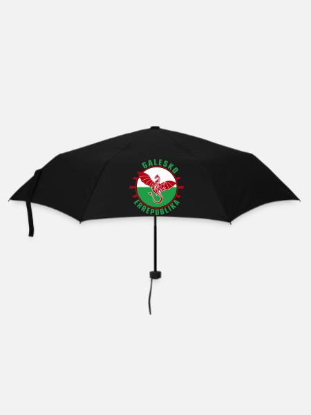 Galesko Errepublika – Walisische Republik - Regenschirm (klein) - Schwarz