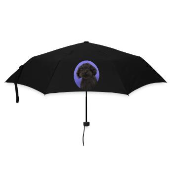 Hund Schwarzer kleiner Pudel - Regenschirm (klein) - Schwarz - Vorne
