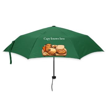 Capybara avec pizza sur canapé - Parapluie standard - vert bouteille - Devant