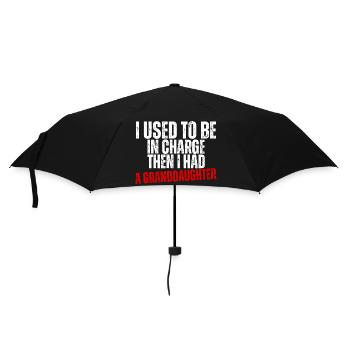 Be in Charge Then I Had A Daughter Funny dad - Umbrella (small) - black - Front
