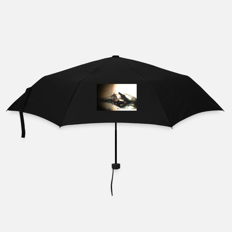 Abstrakt - Regenschirm (klein) - Schwarz