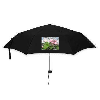 Apple Blossom Branches Spring Summer - Umbrella (small) - black - Front