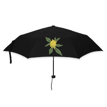 Acacia argenté avec ses fleurs jaunes Pompons - Parapluie standard - noir - Devant