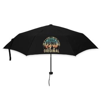 Légendaire depuis juin 2004 Cadeau d’anniversaire 2004 - Parapluie standard - noir - Devant