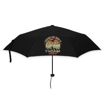 Birthday June 1999 born in June 1999 Retro 1999 - Umbrella (small) - black - Front