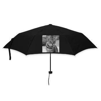 Portrait de fond de chat blanc-noir - Parapluie standard - noir - Devant