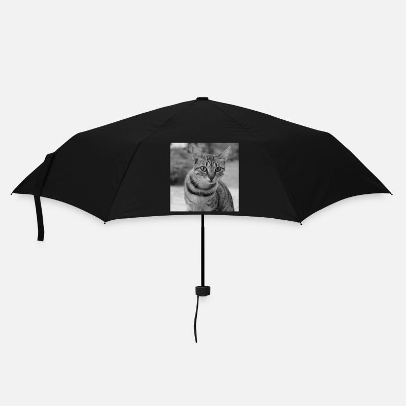 Katze Hintergrund Porträt weiß-schwarz - Regenschirm (klein) - Schwarz