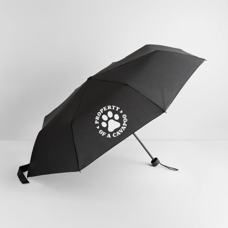 Propriété d’un Cavapoo Parapluie standard