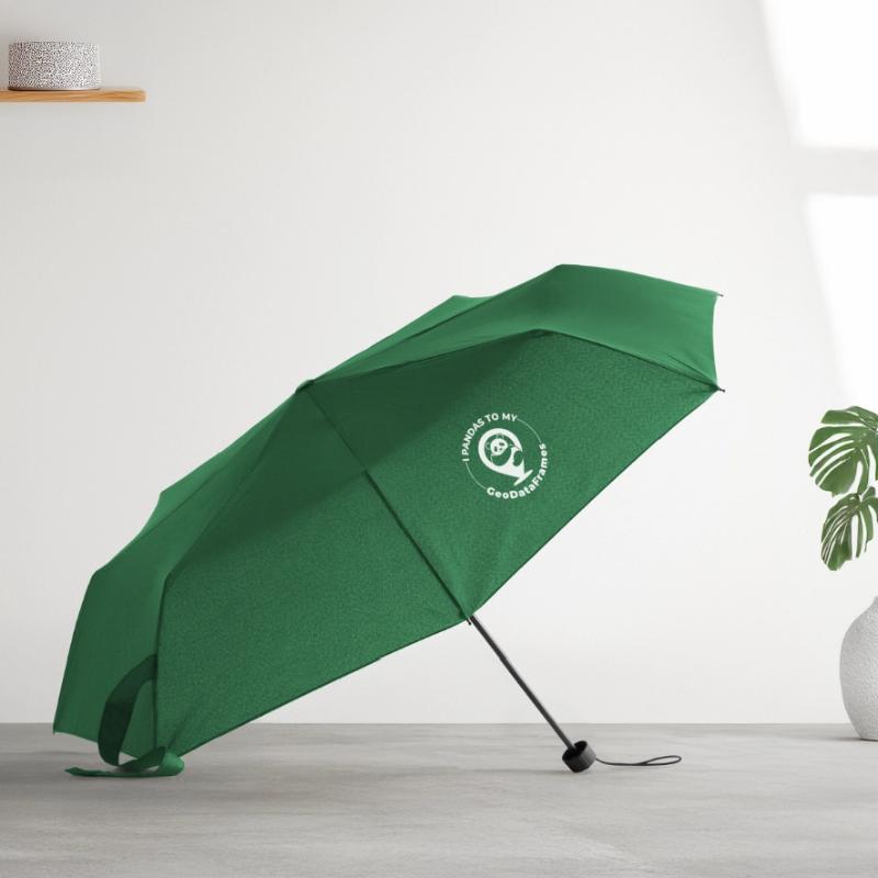 GeoDataFrames Pandas GIS Python Programmierung Regenschirm (klein)