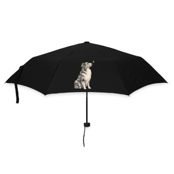 Border Collie avec millésime papillon - Parapluie standard - noir - Devant