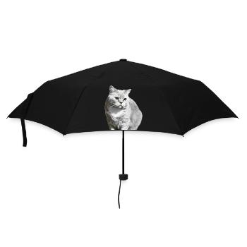 britisch Kurzhaar Katze weiß weiße Katze Kätzchen - Regenschirm (klein) - Schwarz - Vorne