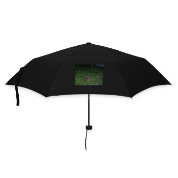 Hérisson - Parapluie standard - noir - Devant