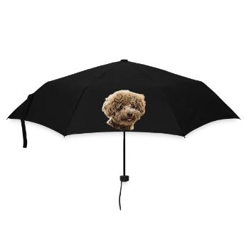 Pudel - Regenschirm (klein) - Schwarz - Vorne