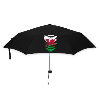 Wales Flagge St Davids Day Cymraeg Waliser Wappen - Regenschirm (klein) - Schwarz - Vorne