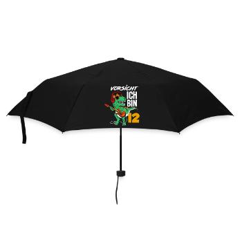 Dinosaurier 12. Geburtstag Gitarre Jungen Geschenk - Regenschirm (klein) - Schwarz - Vorne
