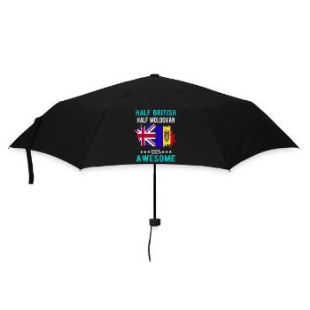 Halb Brite Halb Moldawier - Regenschirm (klein) - Schwarz - Vorne