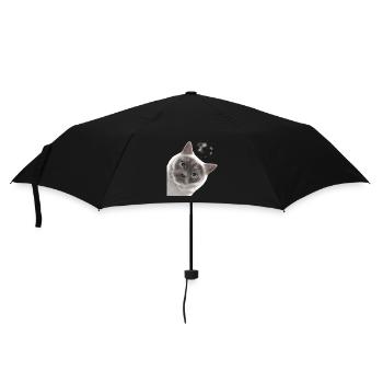 Funny Curious Colourpoint British Shorthair Cat - Umbrella (small) - black - Front