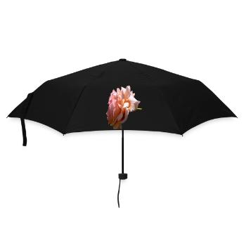 Rose - Regenschirm (klein) - Schwarz - Vorne