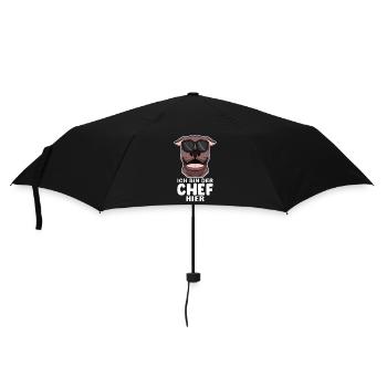 Chef Spruch Anführer Hund - Regenschirm (klein) - Schwarz - Vorne